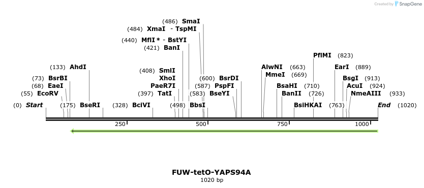 164312_map