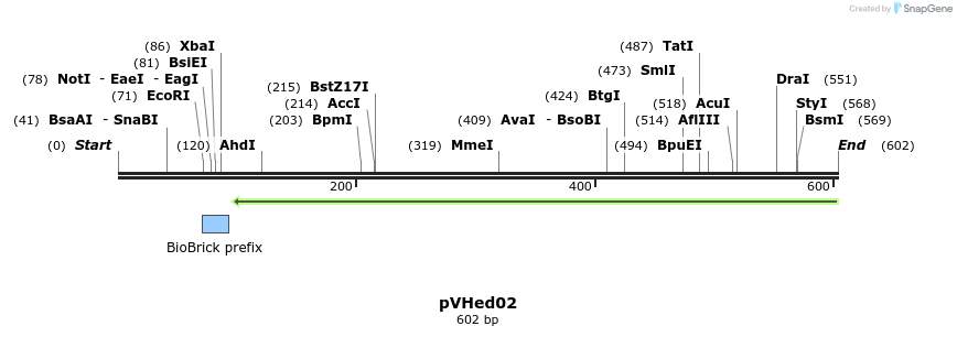 164345_map