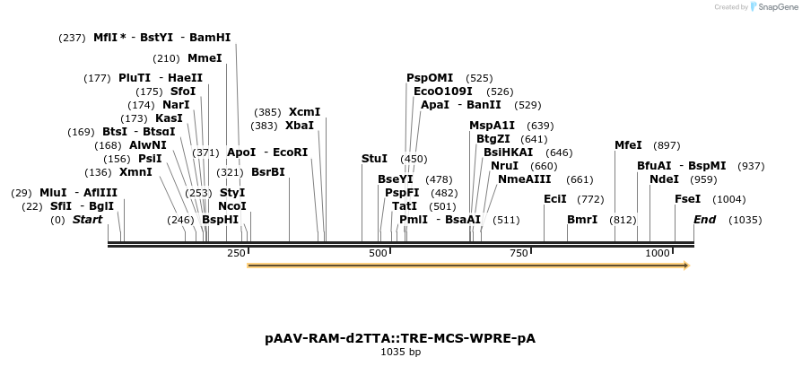 164359_map