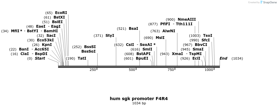 164366_map