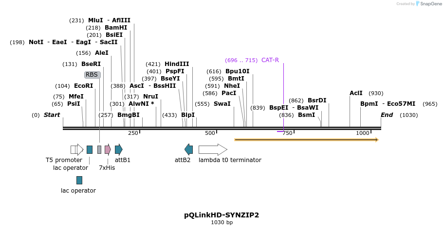 164367_map