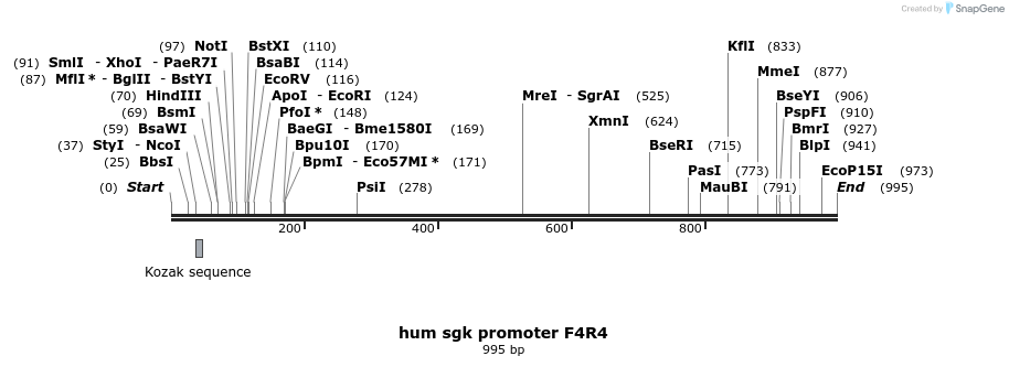 164369_map