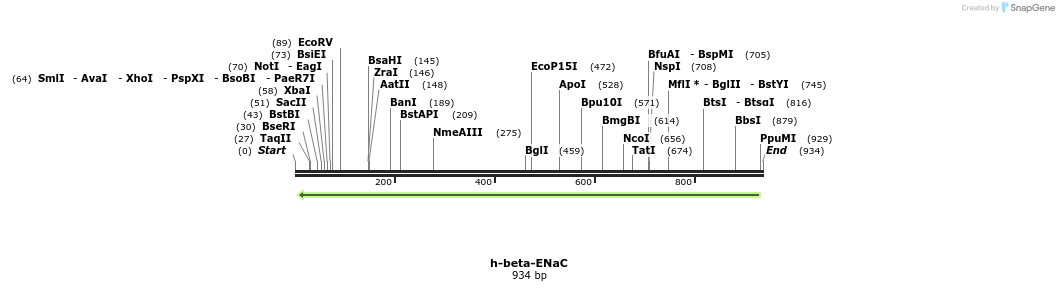 164387_map