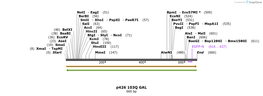 16439_map