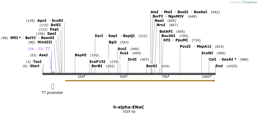 164392_map