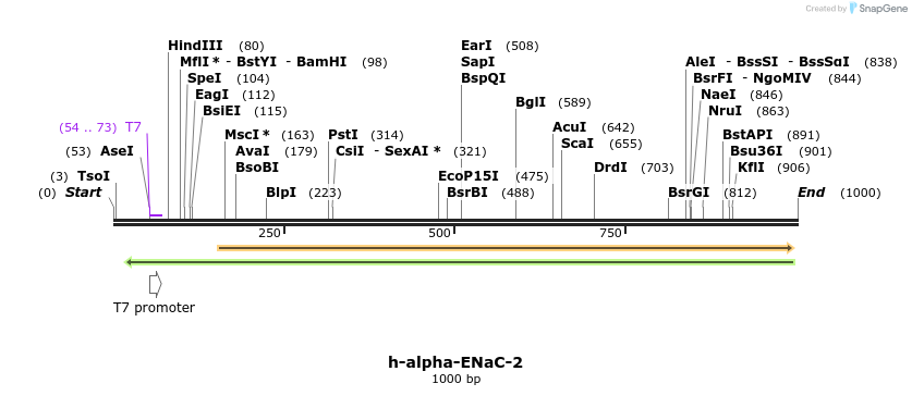 164400_map