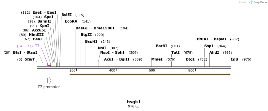 164403_map