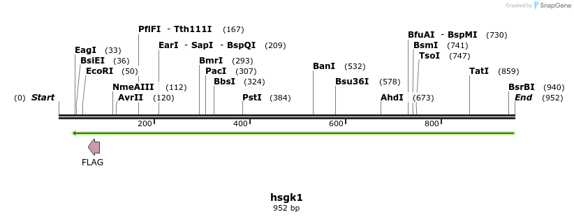 164404_map