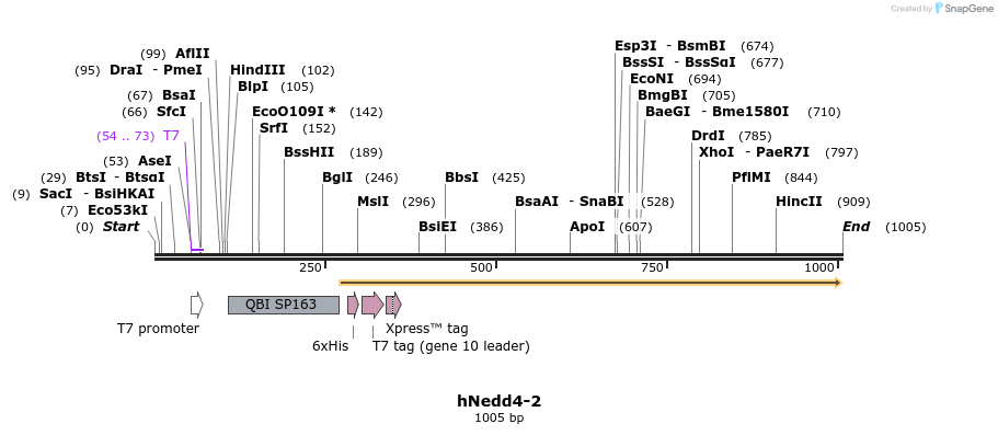 164408_map