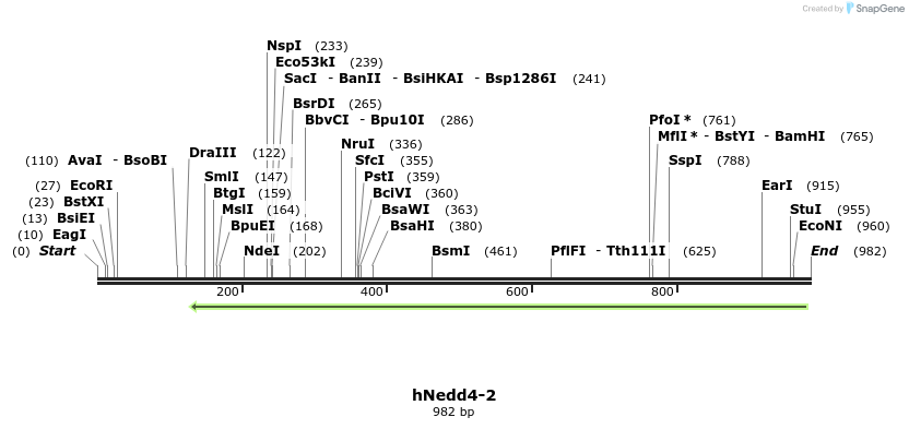 164409_map