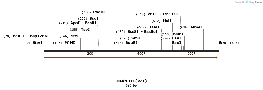 16441_map