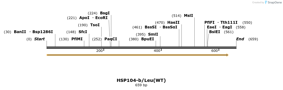 16442_map