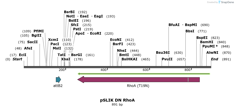 164422_map