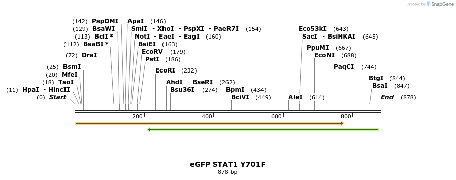 164449_map