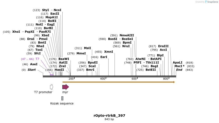 164450_map