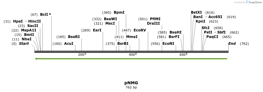 16449_map