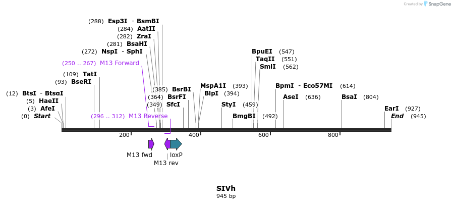 164492_map