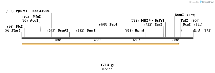 164498_map