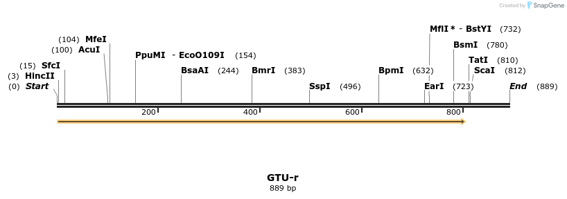 164502_map