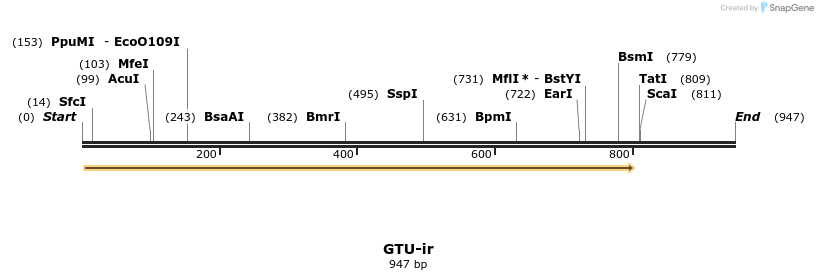164505_map