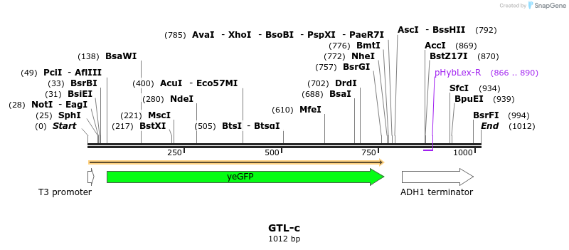 164506_map