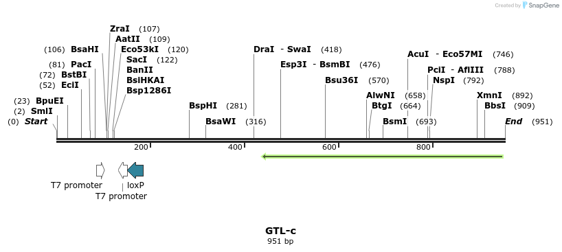 164507_map