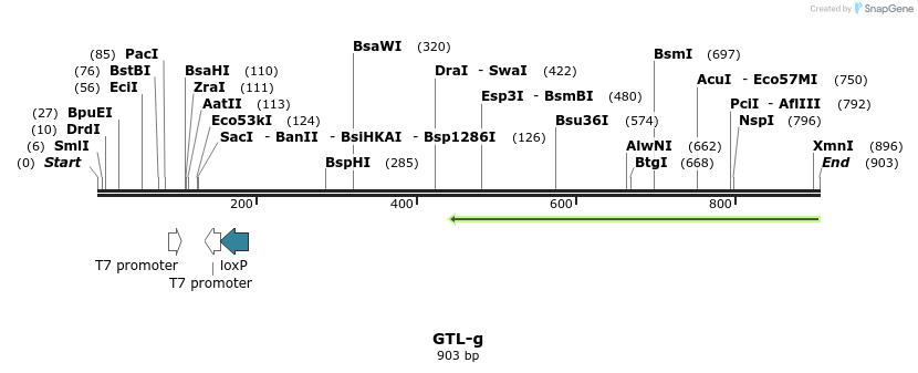 164510_map