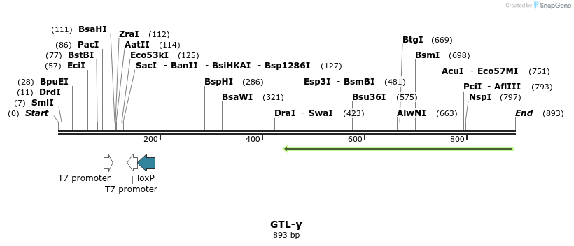 164517_map
