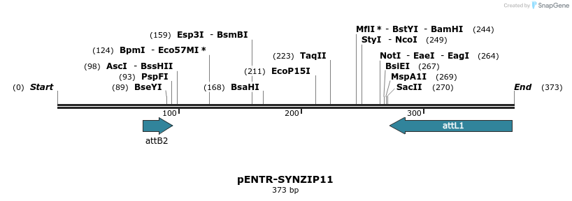 164539_map
