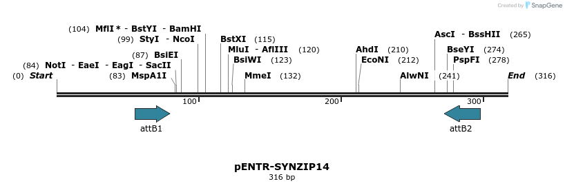 164546_map