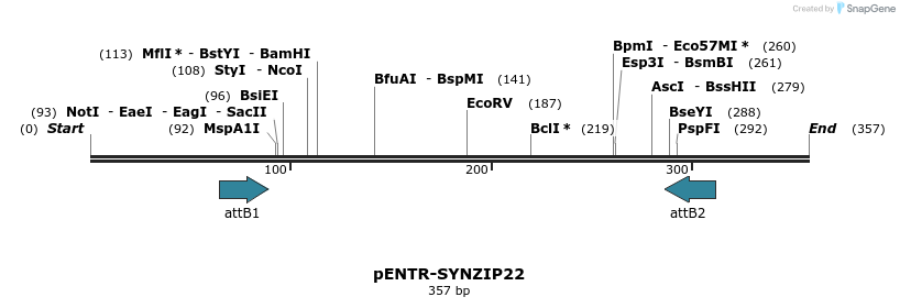 164559_map