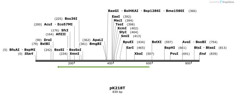 16456_map