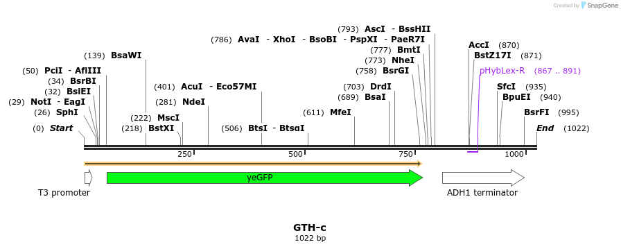 164571_map
