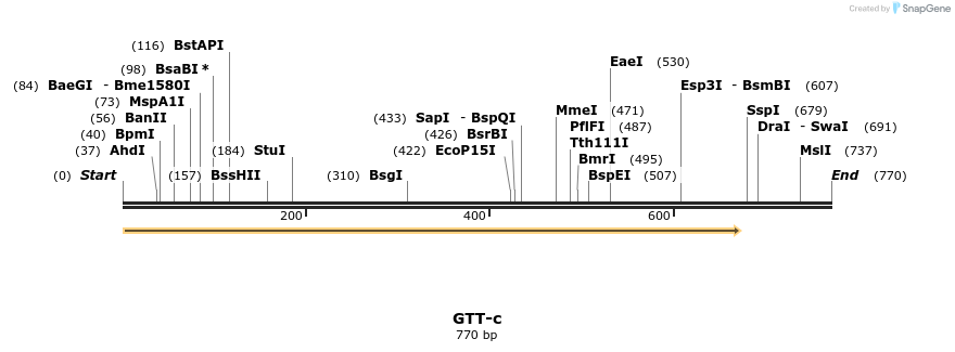 164586_map
