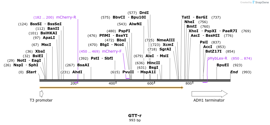 164598_map