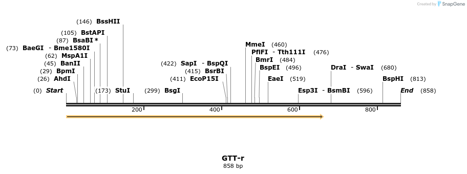 164600_map