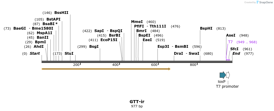 164603_map