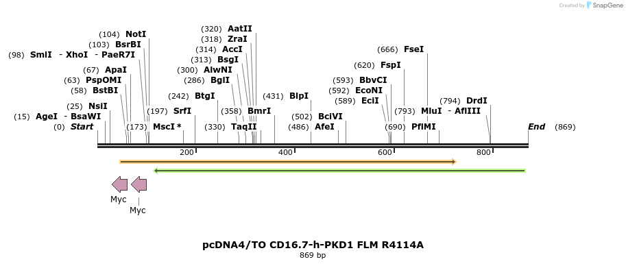 164669_map