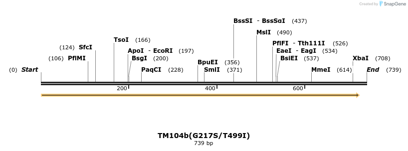 16467_map