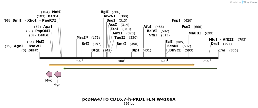 164671_map