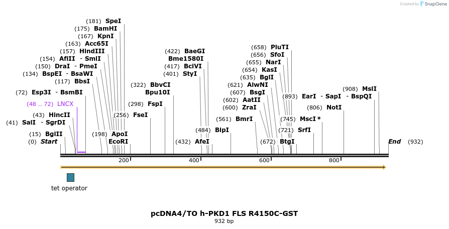 164700_map