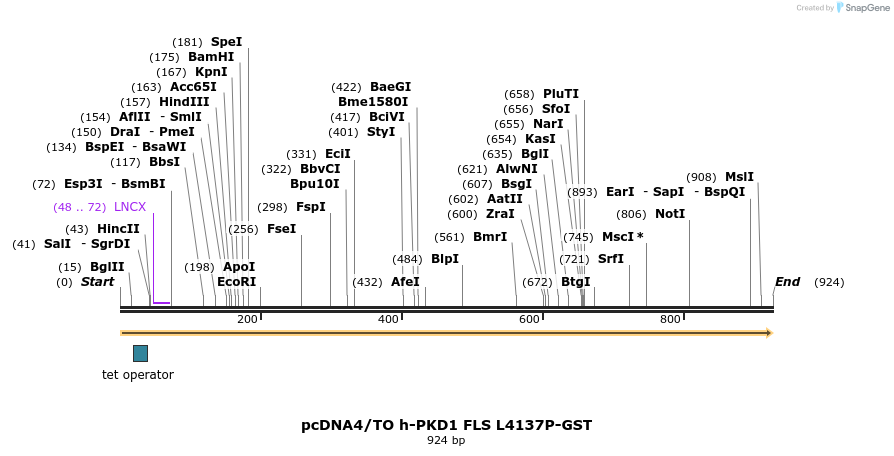 164705_map