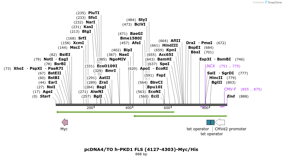 164714_map
