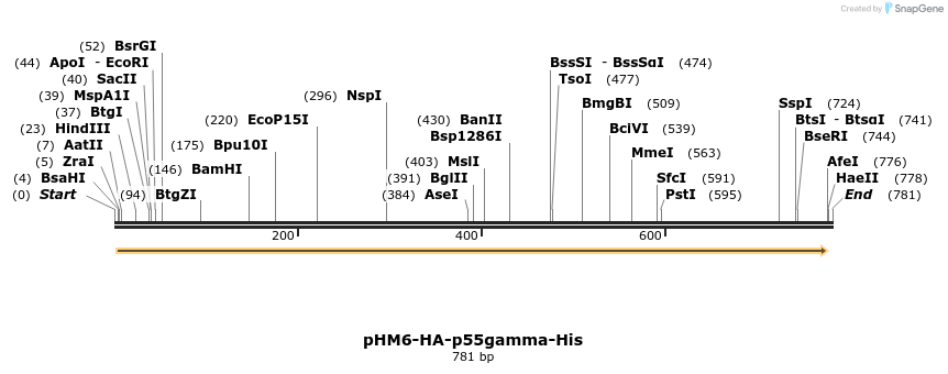 16472_map