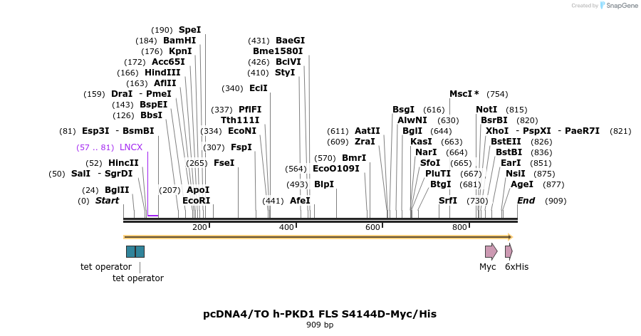 164724_map