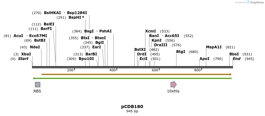 164736_map