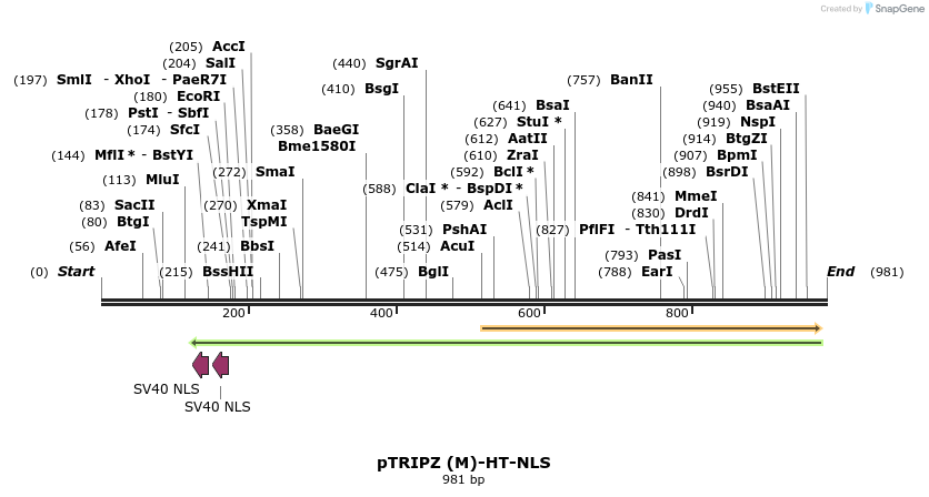 164744_map