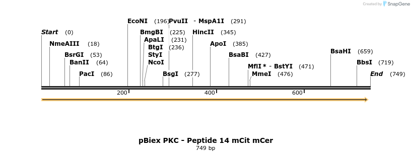 164758_map