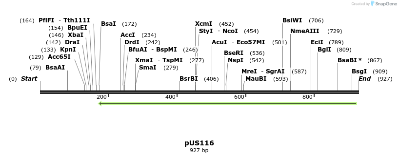 164760_map