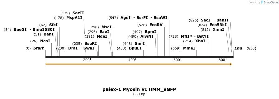 164767_map